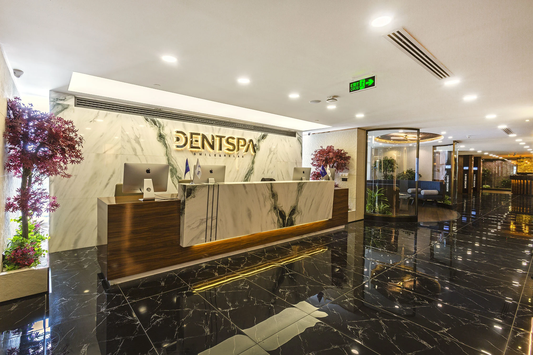 DentSpa: The Partnership That Defined Our Approach